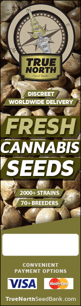 Win Free Seeds at True North Seedbank