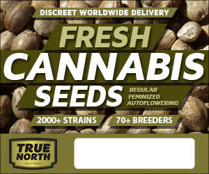 Win Free Seeds at True North Seedbank