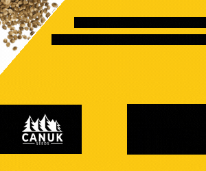 Win Free Canuk Seeds at CanukSeeds.com